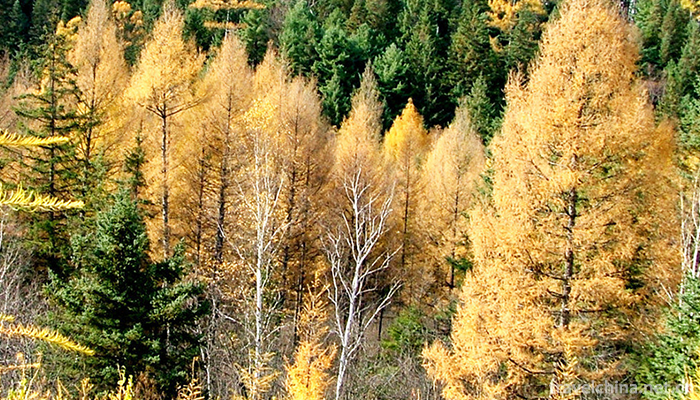 Tangwang-River-Linhai-Qishi-Scenic-Area-6