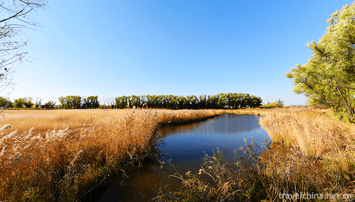 The-Wudalianchi-Scenic-Area-8