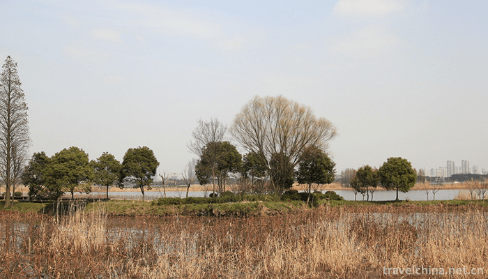 Turtle-Head-Islet-5