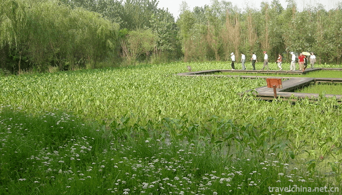 Qin-Lake-National-Wetland-Park-4