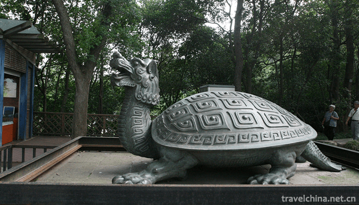 Turtle-Head-Islet-1