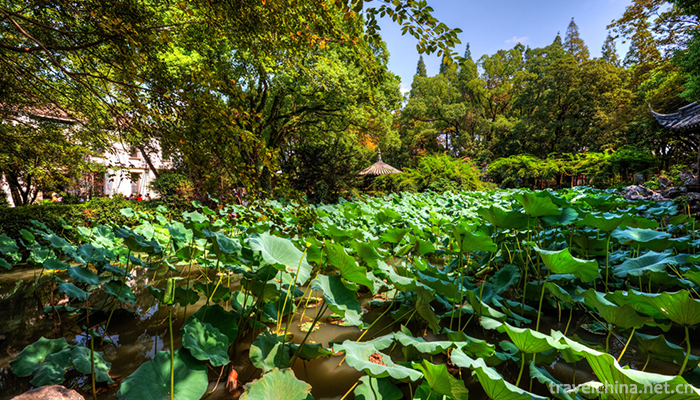 Nanxun-ancient-town-Scenic-Area-7