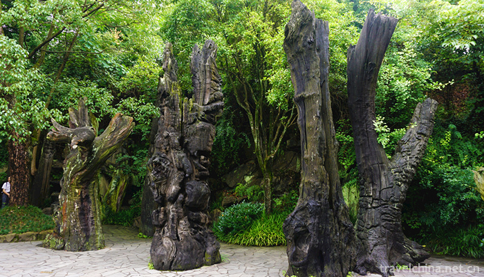 Root-palace-Buddhist-Cultural-Tourism-Zone-7