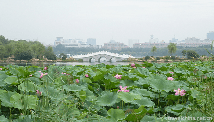 South-Lake-10