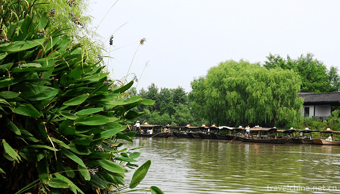 Xixi-National-Wetland-Park-7