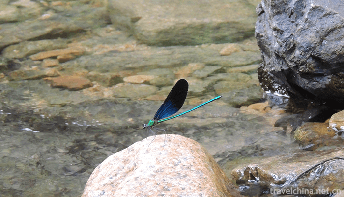 Tiantai-Mountain-Scenic-Area-19