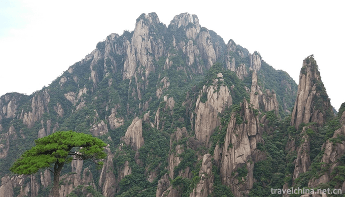 Sanqing-Mountain-Scenic-Spot-3
