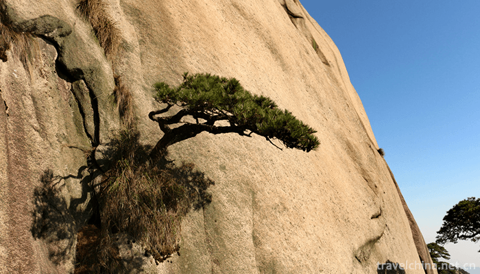 Mount-Tianzhu-Scenic-Area-7