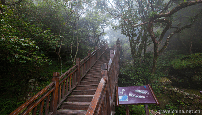 Mingyue-Mountain-4