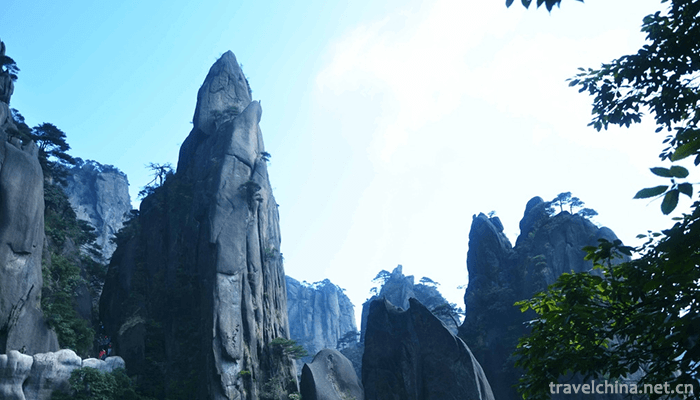 Sanqing-Mountain-Scenic-Spot-2