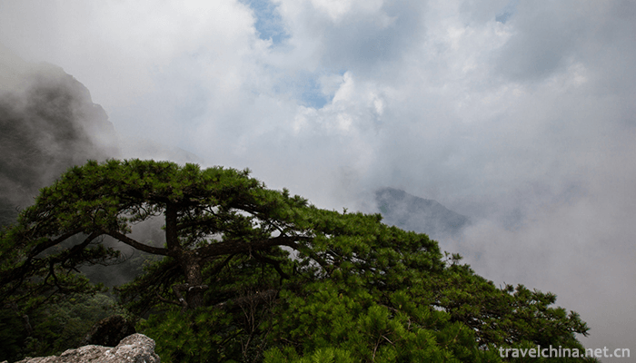 Mingyue-Mountain-9