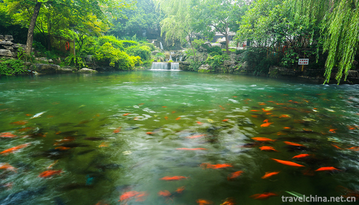 Jinan-World-First-Spring-Scenic-Area-10