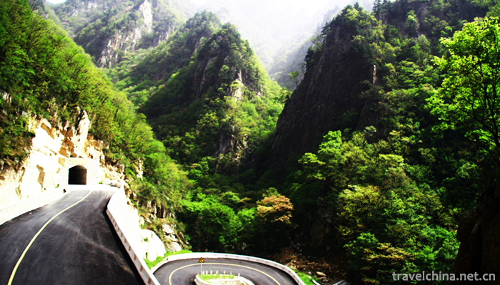 Old-boundary-ridge-of-Funiu-Mountain-3