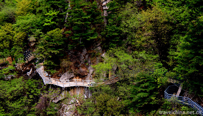 Old-boundary-ridge-of-Funiu-Mountain-7