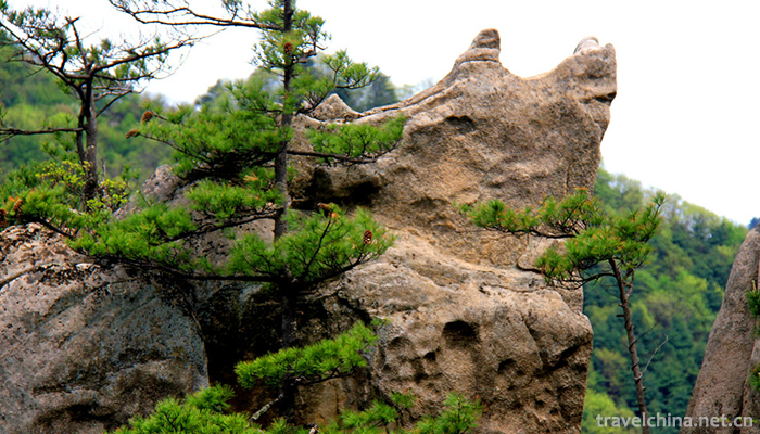 Old-boundary-ridge-of-Funiu-Mountain-5