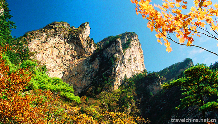Old-boundary-ridge-of-Funiu-Mountain-2