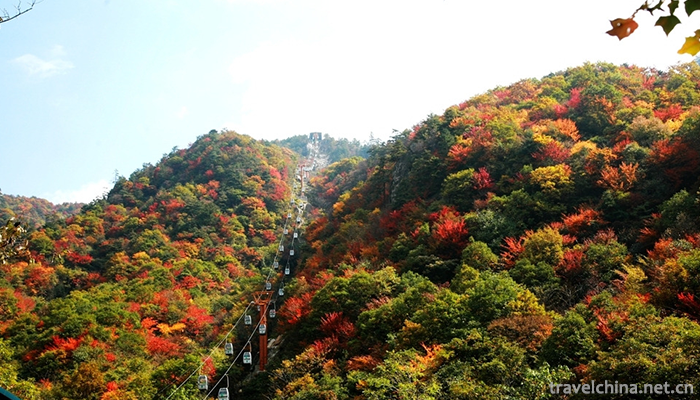 Old-boundary-ridge-of-Funiu-Mountain-6