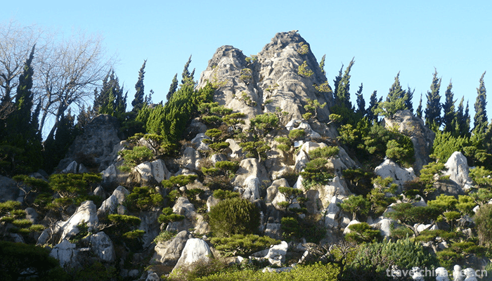 Kunming-World-Horticultural-Expo-Garden-9