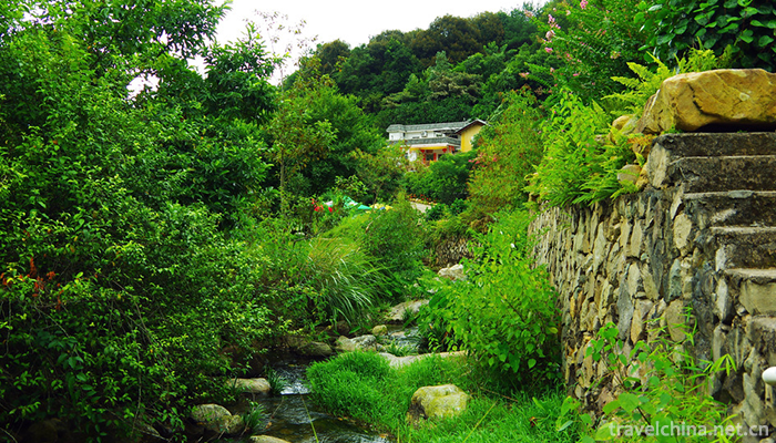 Yan-Nanfei-Tea-Field-Scenic-Area-7