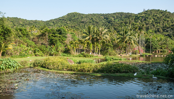 Yanoda-Tropical-Rainforest-Scenic-Area-6