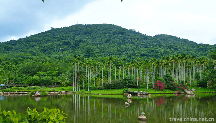 Yanoda-Tropical-Rainforest-Scenic-Area-3