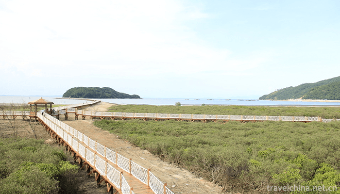 Dajiaowan-Scenic-Area,-Hailing-Island,-Yangjiang-5