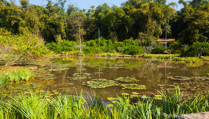 XiShuangBanNa-Tropical-Botanical-Garden,Chines-11