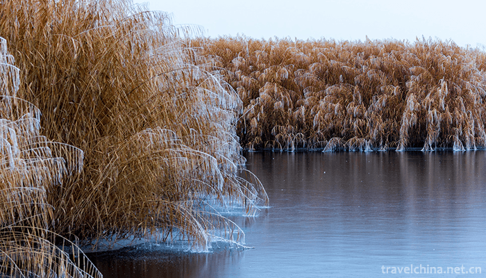 Bosten-Lake-Scenic-Area-3