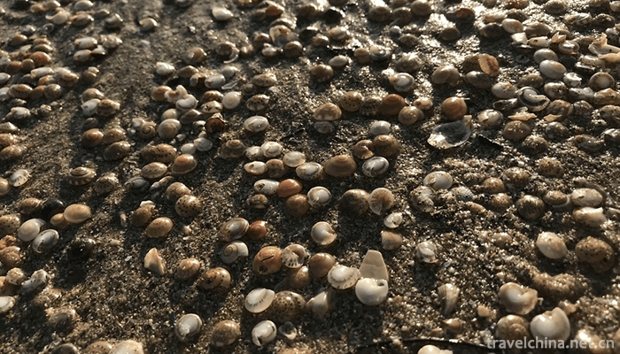 Dajiaowan-Scenic-Area,-Hailing-Island,-Yangjiang-1