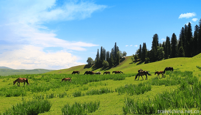 Narati-Scenic-Spot-10