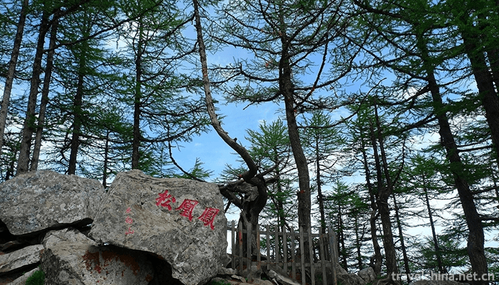 Taibai-Mountain-National-Forest-Gong-10