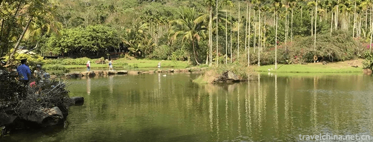 Yanoda Tropical Rainforest Scenic Area 