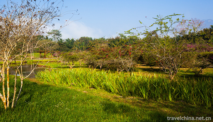 XiShuangBanNa-Tropical-Botanical-Garden,Chines-7