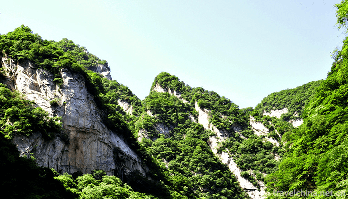 Taibai-Mountain-National-Forest-Gong-6