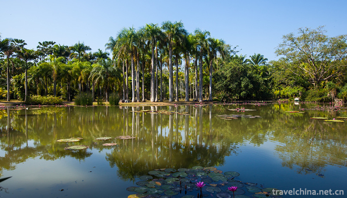 XiShuangBanNa-Tropical-Botanical-Garden,Chines-12
