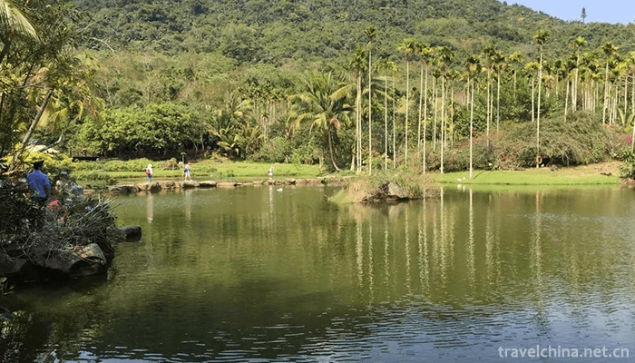 Yanoda-Tropical-Rainforest-Scenic-Area-1