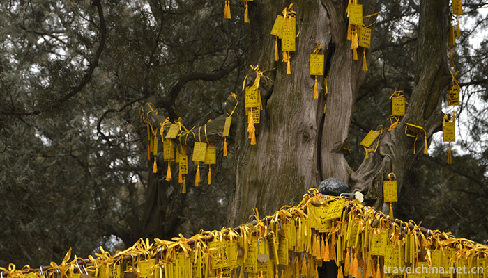 Huangdi-Mausoleum-Scenic-Area-13