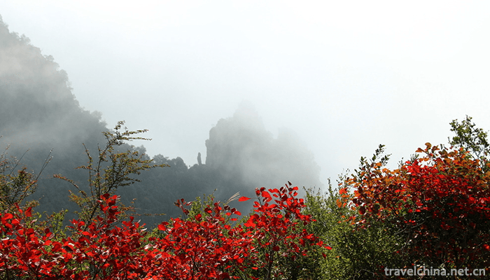 Three-Gorges-Household-Scenic-Area-6