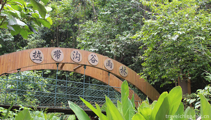 Yanoda-Tropical-Rainforest-Scenic-Area-7