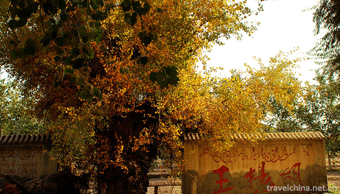 Zepkin-Lake-Yang-National-Forest-Park-2