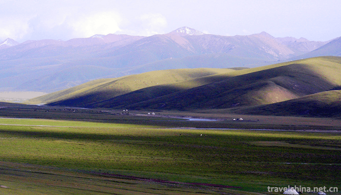 Bayanbulak-Grassland-12