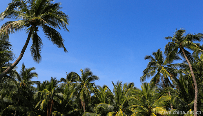 Big-and-Small-Size-Dongtian-Scenic-Spot-6
