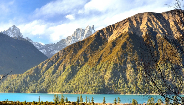 Linzhi-Basongcuo-Scenic-Area-8
