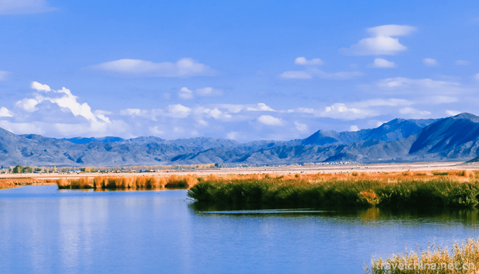 Cocotto-Sea-Scenic-Area-5