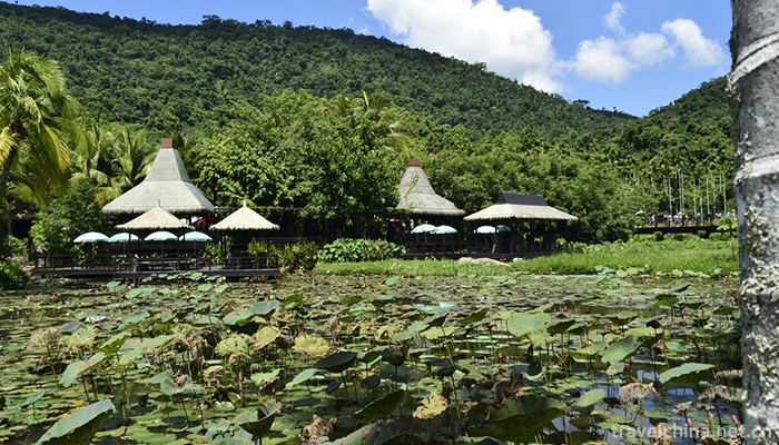 Yanoda-Tropical-Rainforest-Scenic-Area-5