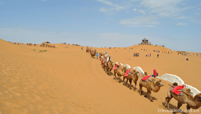 Shapotou-National-Nature-Reserve,-Ningxia-6