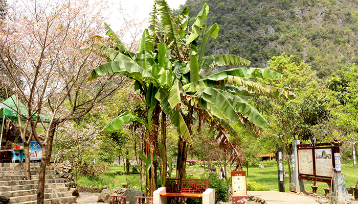 Longgong-Scenic-Area-of-Anshun-City-3