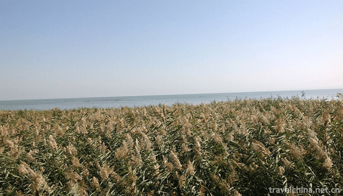Bosten-Lake-Scenic-Area-4