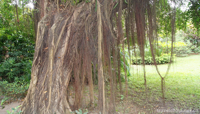 Nanshan-Cultural-Tourism-Zone-1