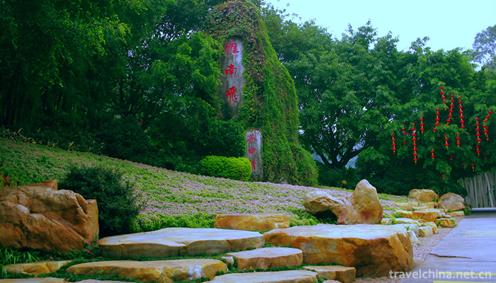 Yan-Nanfei-Tea-Field-Scenic-Area-8